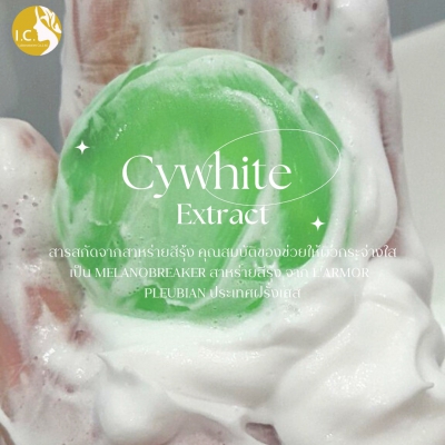 Soap : Snow Whipping Clear Soap-Green
