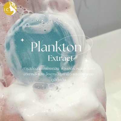 Soap : Snow Whipping Clear Soap-Blue