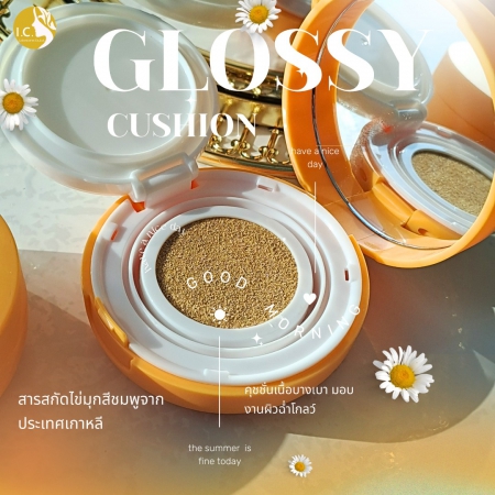 คุชชั่นกลอสซี่ ( Glossy Cushion )